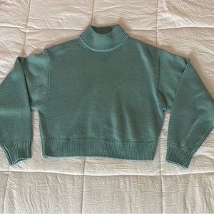 Aritzia Turtleneck